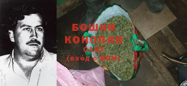 ГАЛЛЮЦИНОГЕННЫЕ ГРИБЫ Баксан
