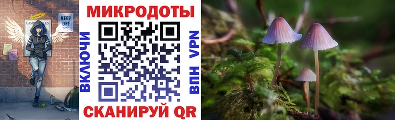 наркота  нарко площадка клад  Псилоцибиновые грибы мицелий  Чкаловск 